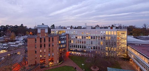 Anglo European Oxford
