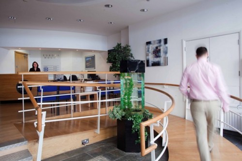 Berlitz Manchester