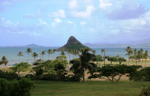 «ICC Hawaii»     