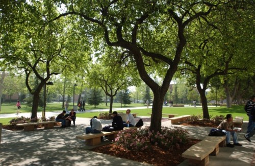 FLS California State University, Northridge