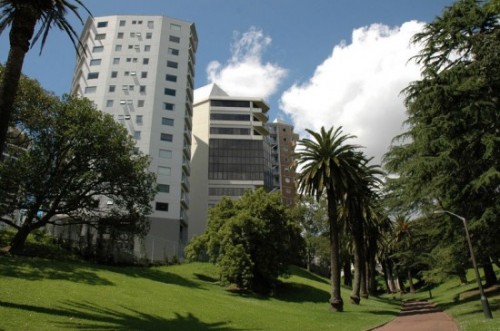 LSI Auckland
