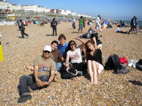 LSI Brighton