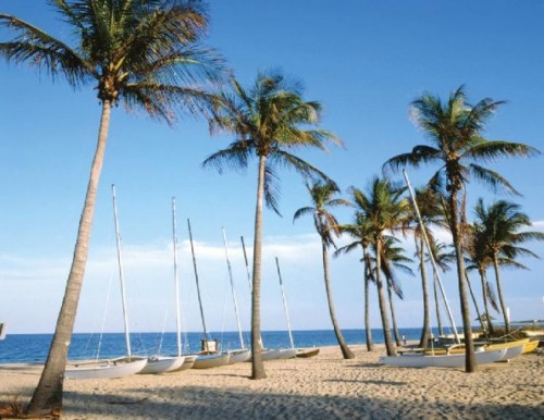 The Language Academy Fort Lauderdale