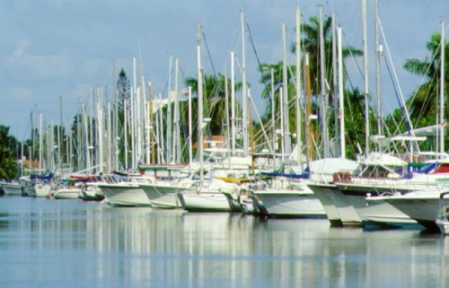 The Language Academy Fort Lauderdale