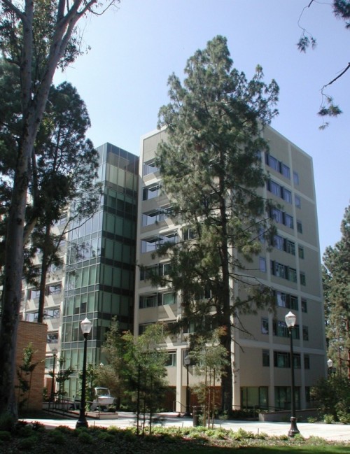 Tamwood Los Angeles Camp