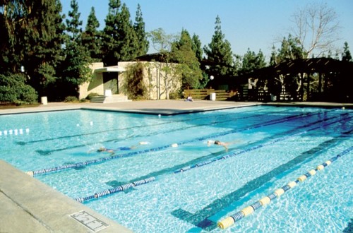 Tamwood Los Angeles Camp