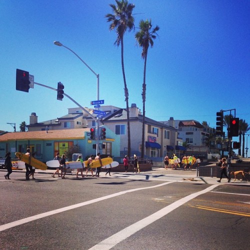 American English College Los Angeles